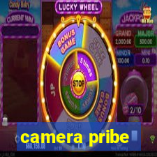 camera pribe